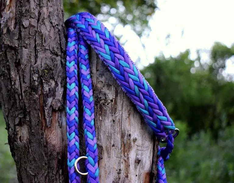 Arrow braid Dog collar