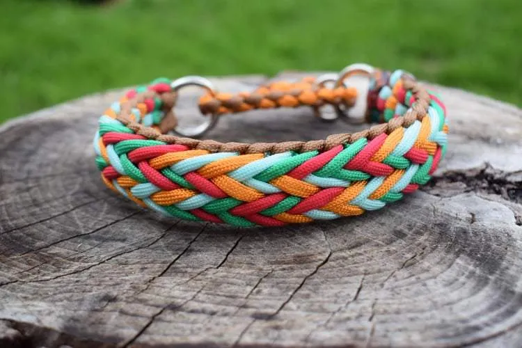 Arrow braid Dog collar