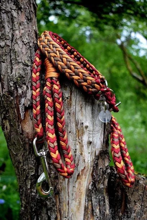 Arrow braid Dog collar