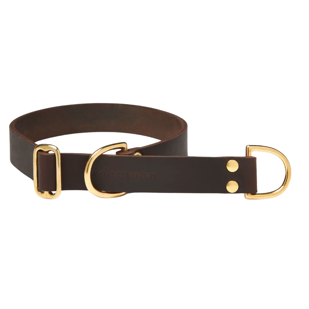 Butter Leather Retriever Dog Collar - Classic Brown