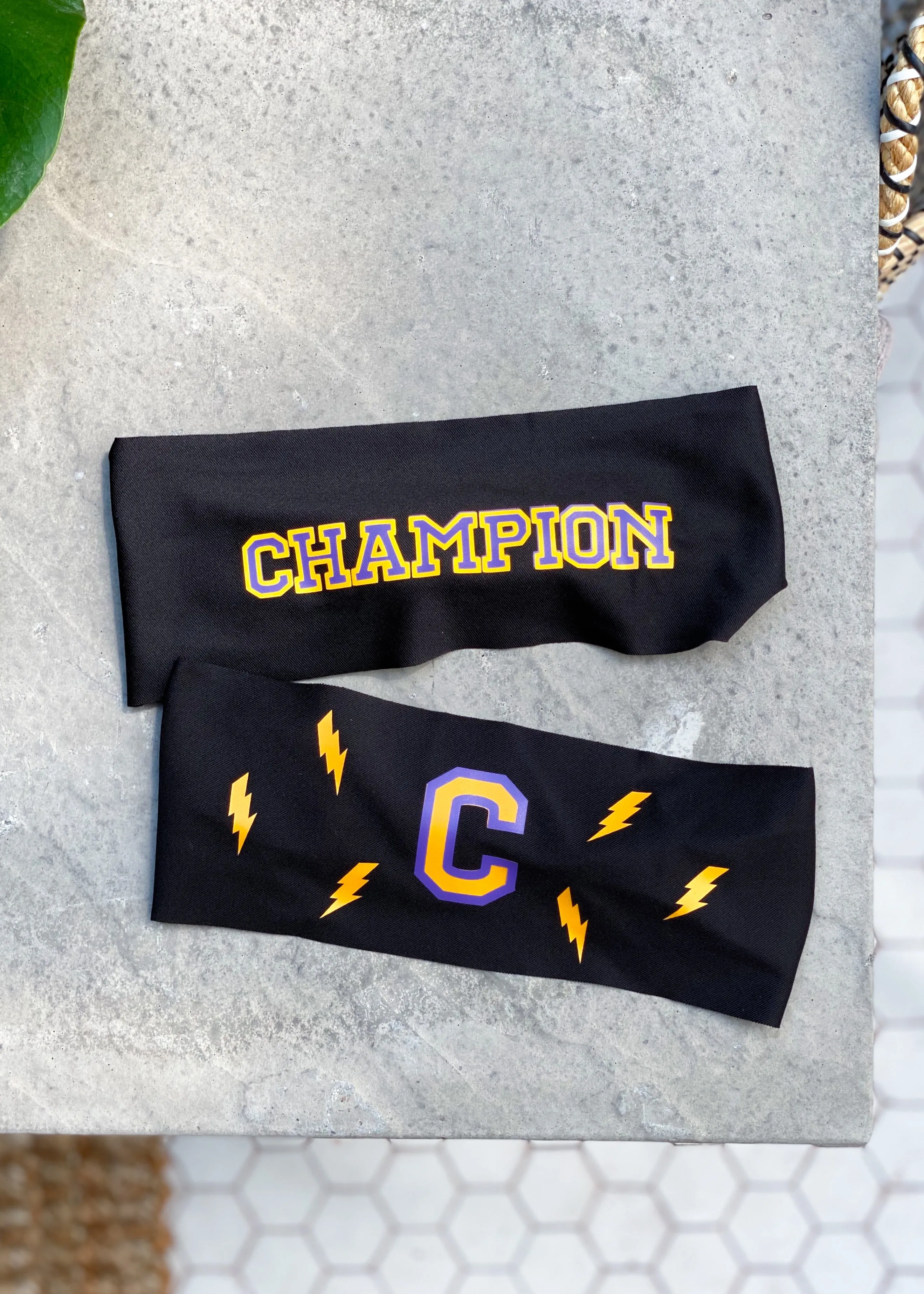 Champion Flashes