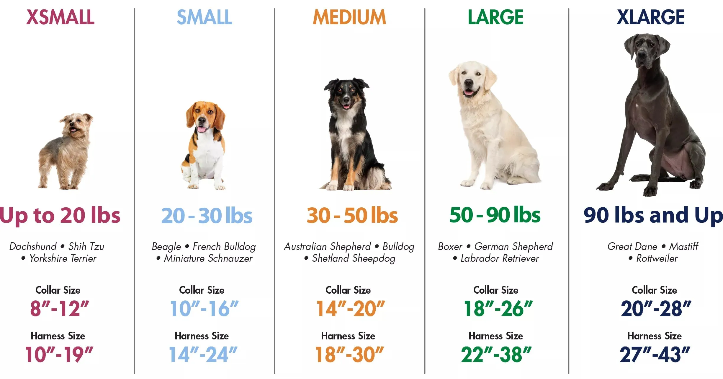 Coastal Pet Products Adjustable Check Training Collar For Dogs