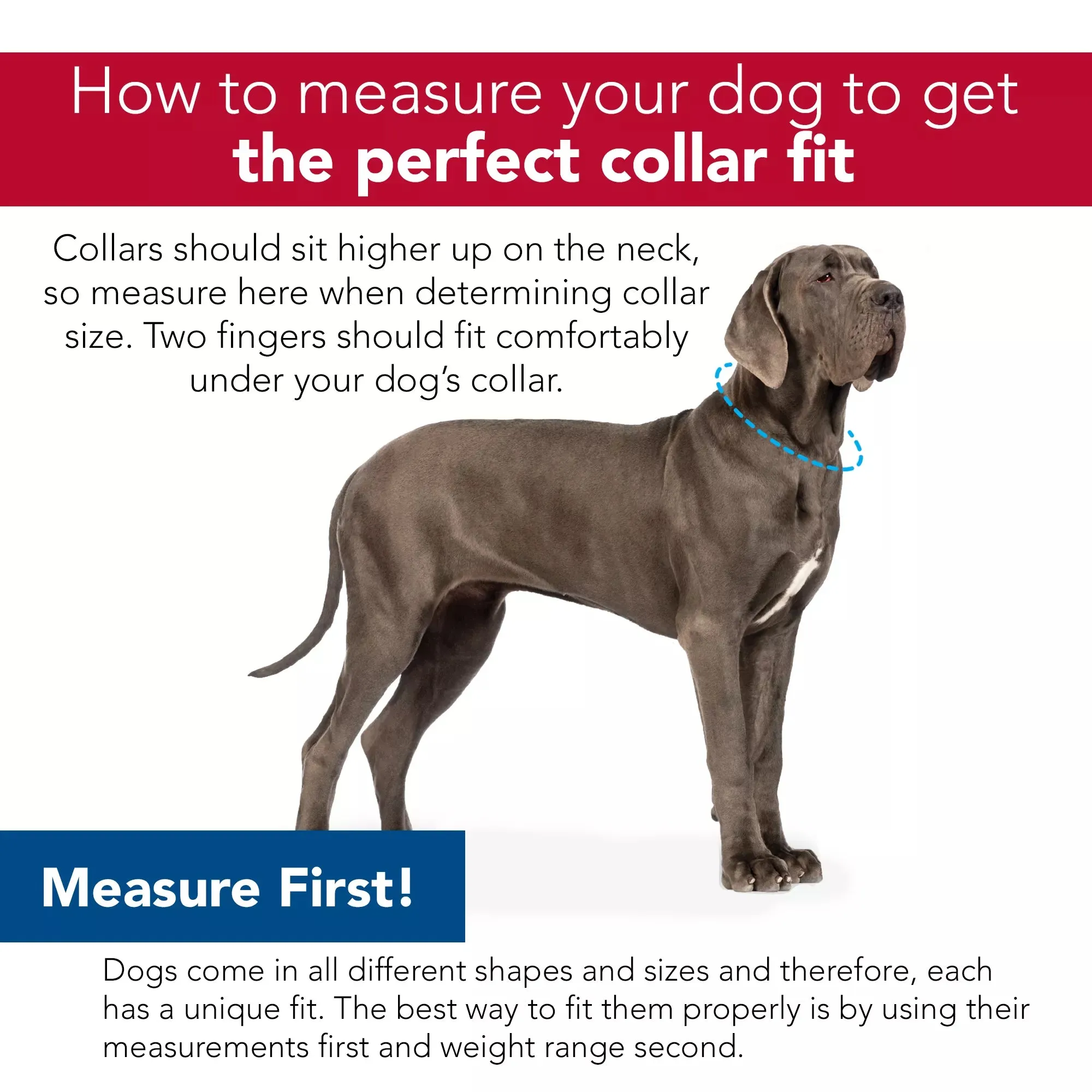 Coastal Pet Products Adjustable Check Training Collar For Dogs