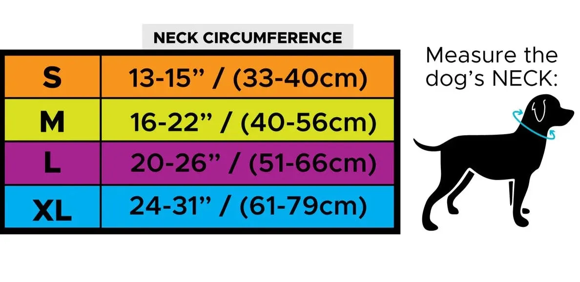 Cooler Dog Hi-Vis Cooling Dog Collar - Orange