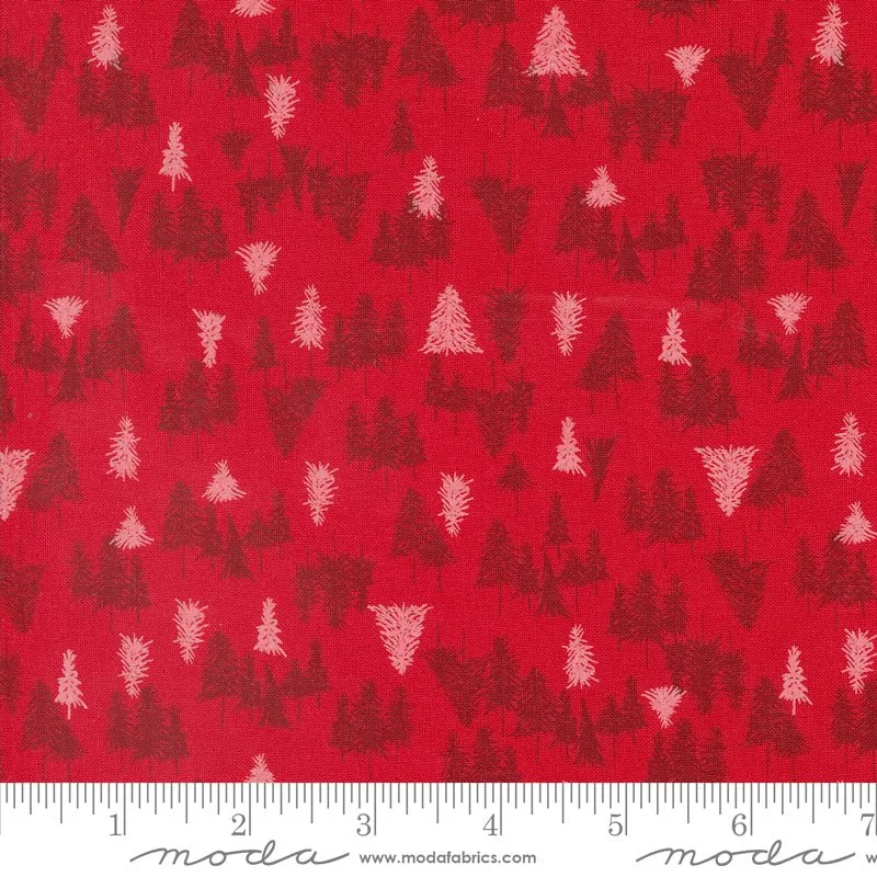 Cozy Wonderland: Layer Cake