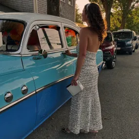 Dani Maxi Skirt - Silver