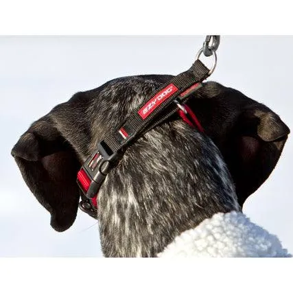 EZYDog Checkmate Dog Collar Red