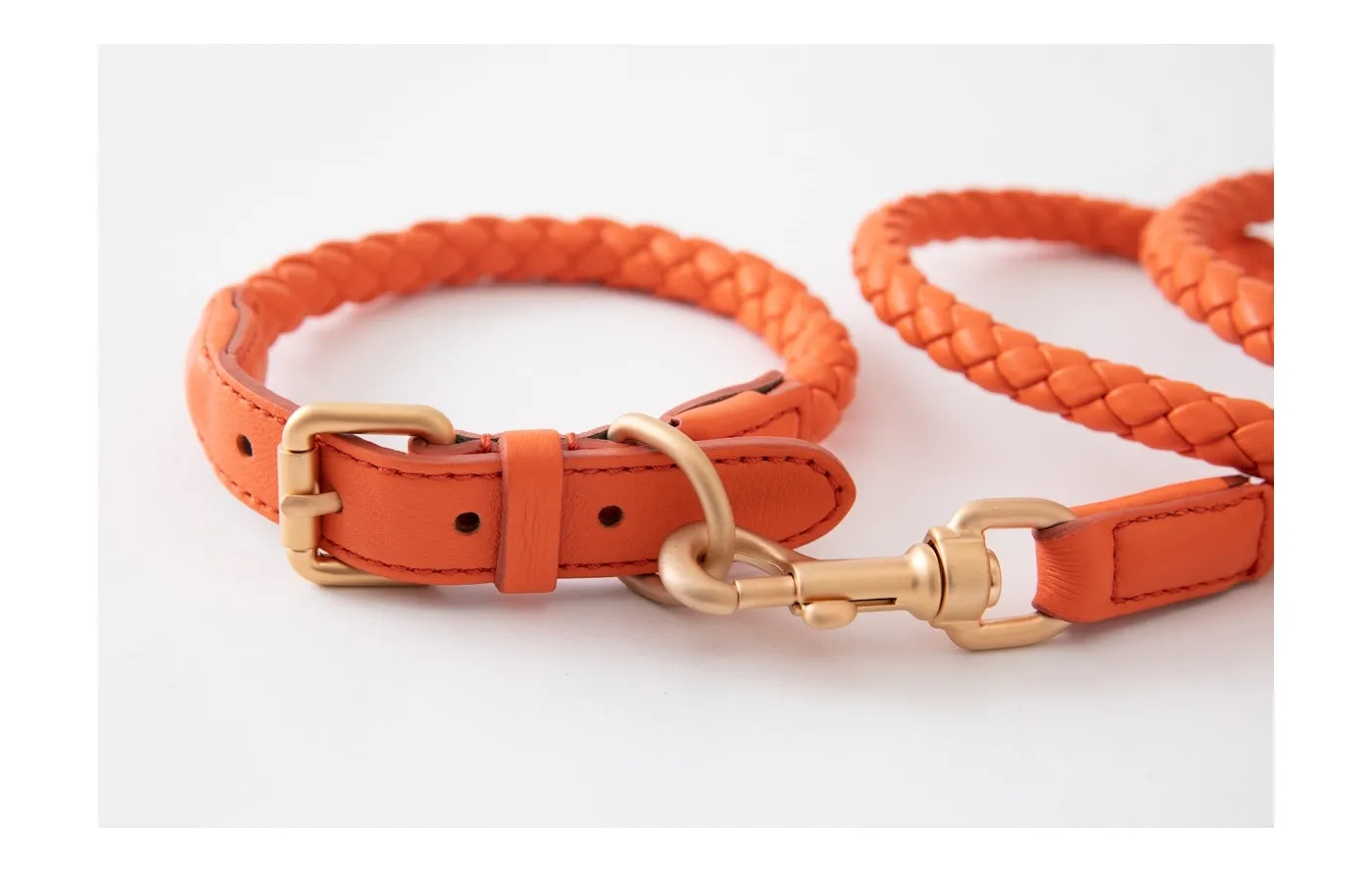 FERDINANDO - Dog Leather Collar