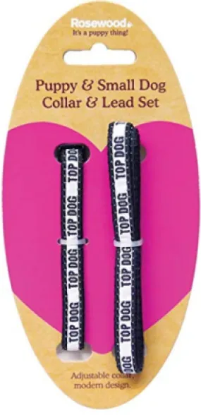LEAD & COLLAR FOR PUPPY DOGS