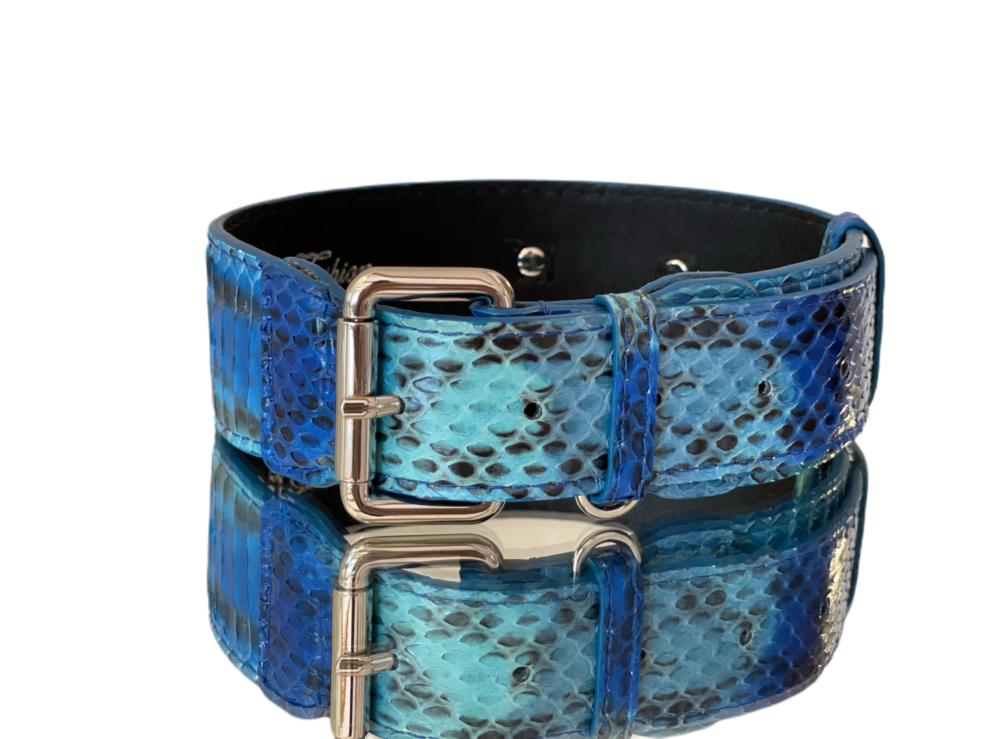Luxury Pet Fashion Blue/Turquoise Snakeskin Collar/Classic Silver Hardware