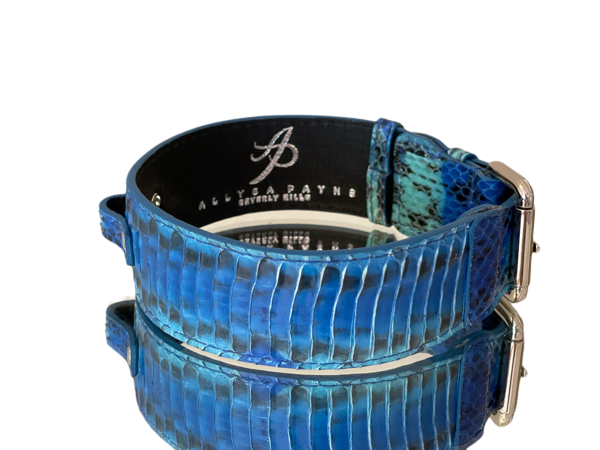 Luxury Pet Fashion Blue/Turquoise Snakeskin Collar/Classic Silver Hardware
