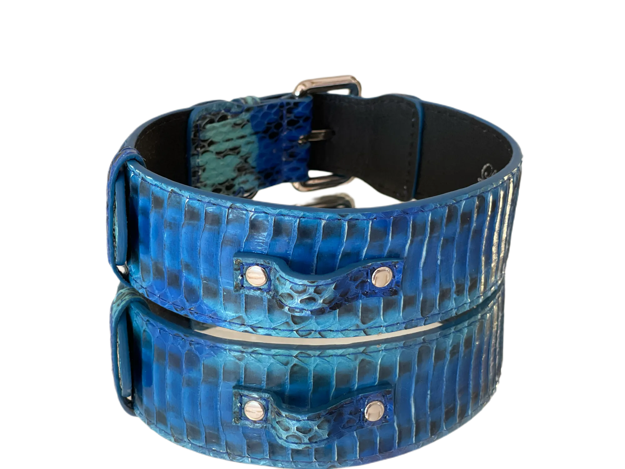 Luxury Pet Fashion Blue/Turquoise Snakeskin Collar/Classic Silver Hardware