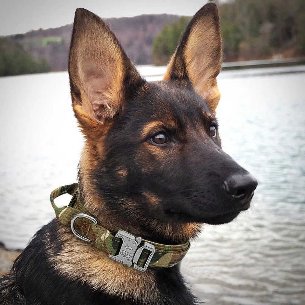 Military Tactical Dog Collar with Control Handle