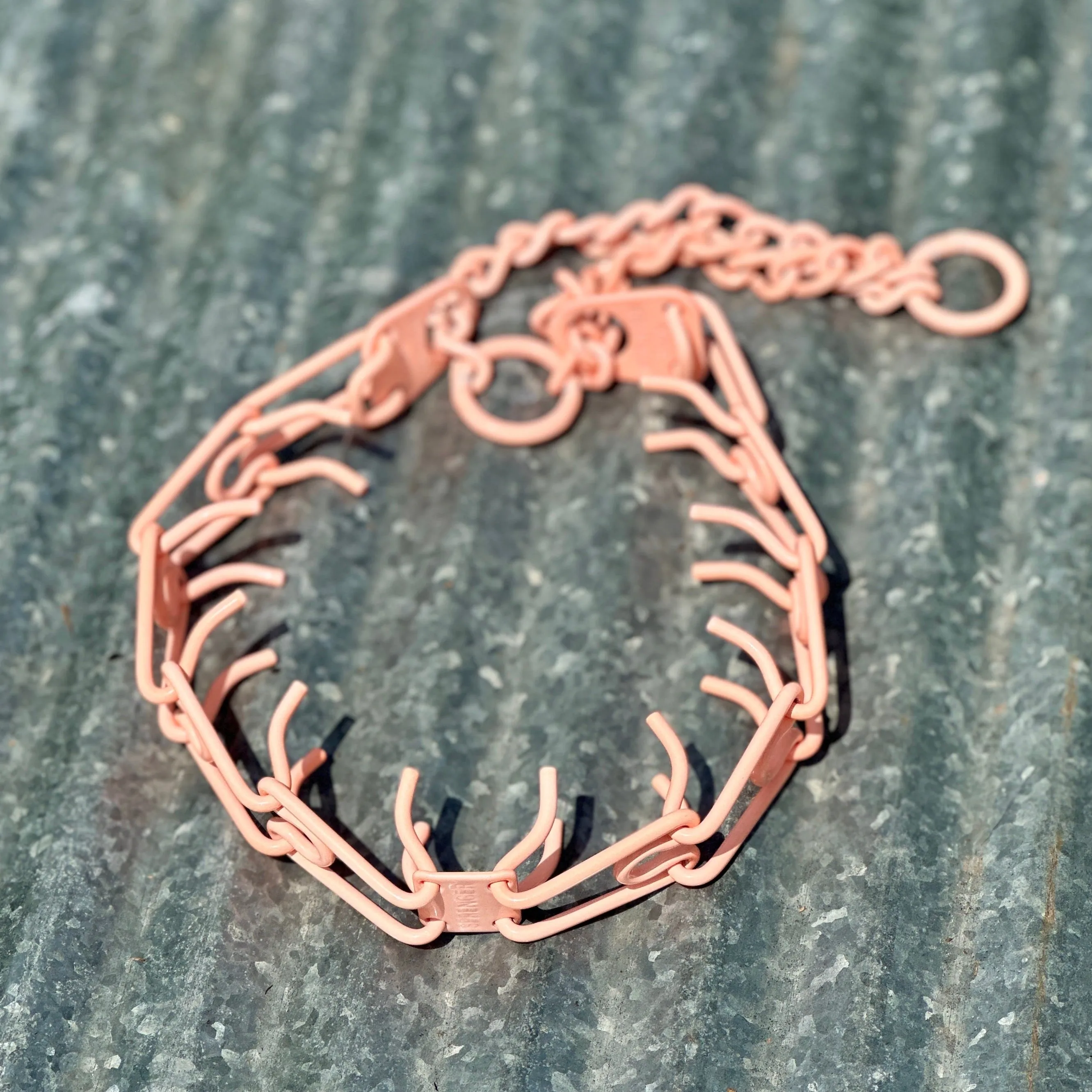 Neon Coral Custom Powder Coated Herm Sprenger Prong Collar for Dogs