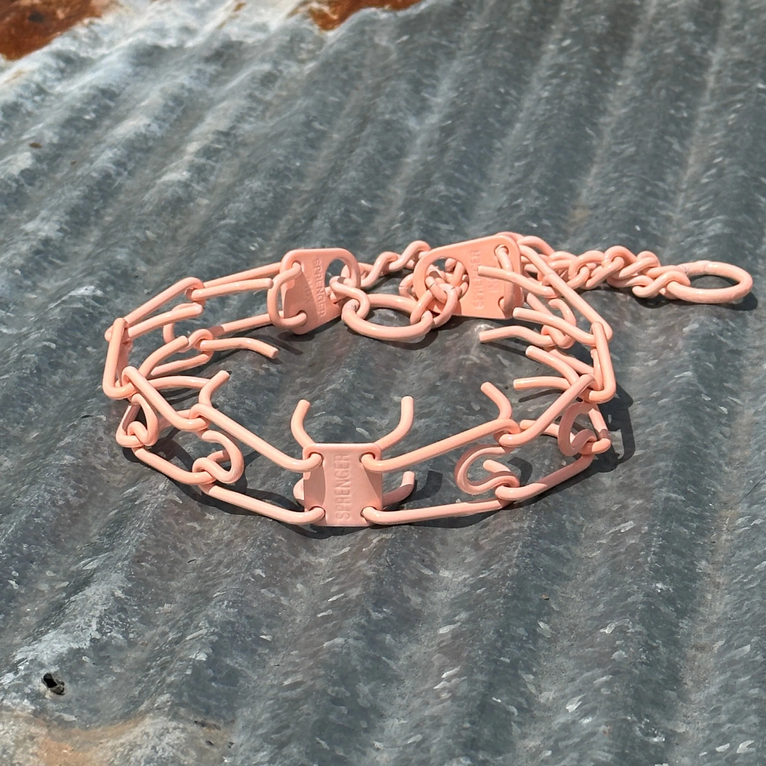 Neon Coral Custom Powder Coated Herm Sprenger Prong Collar for Dogs