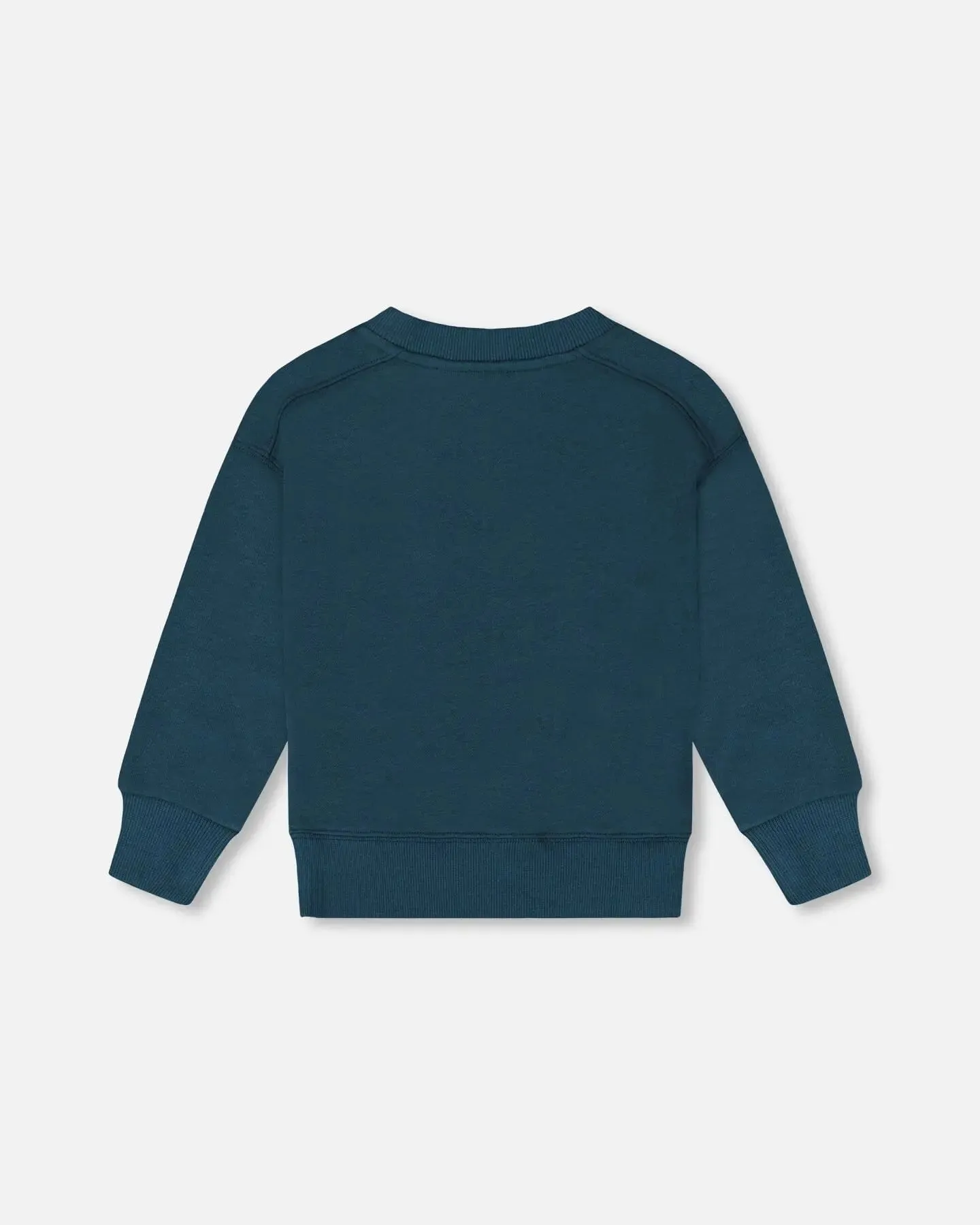 Pullover French Terry Graphic Sweatshirt Teal And Peach