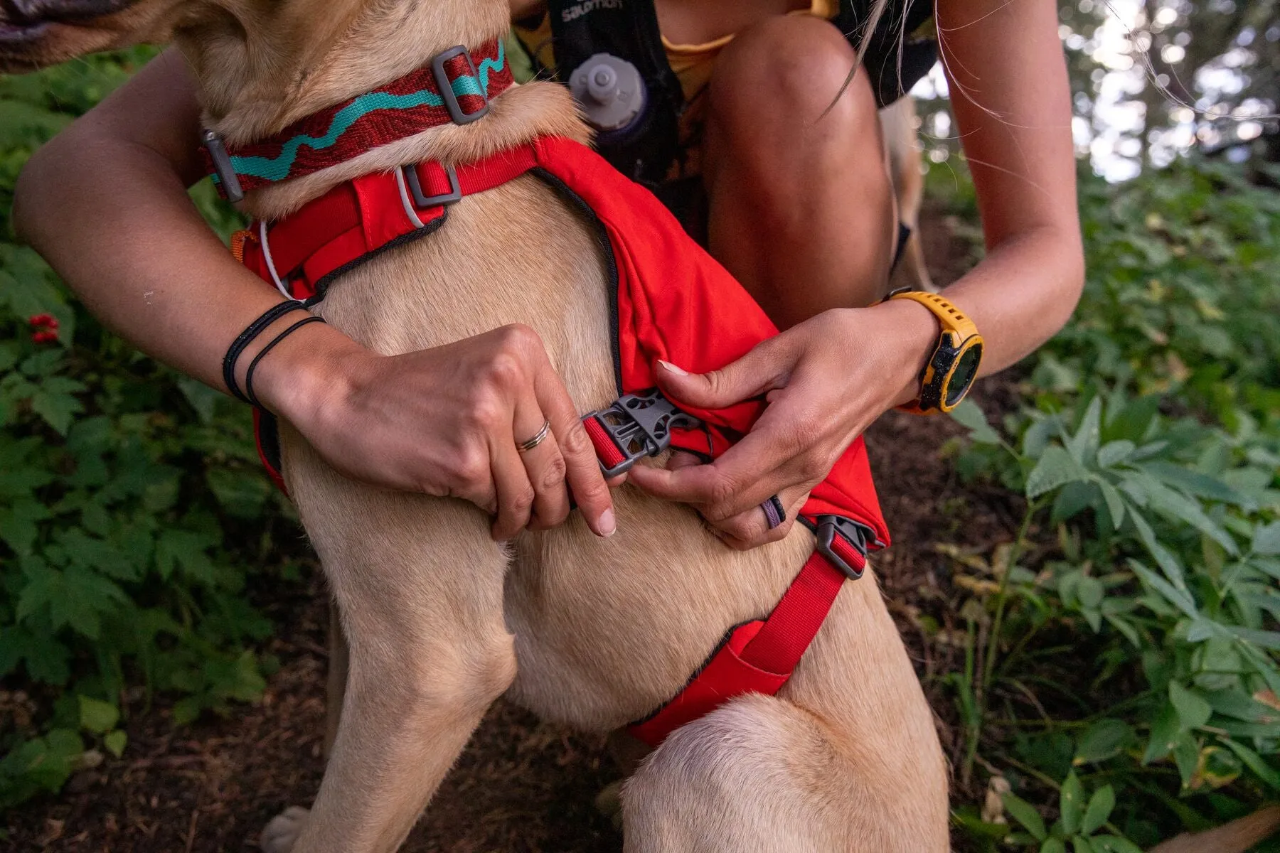 Ruffwear Flat Out™ Dog Collar