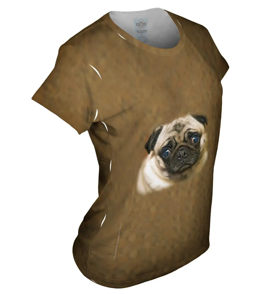 Sad Face Pug