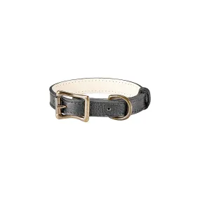 Small Dog Collar