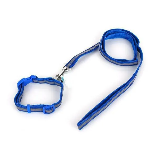 Smart Way Collar & Leash Reflective Strip