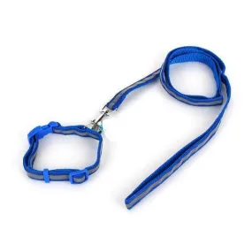 Smart Way Collar & Leash Reflective Strip