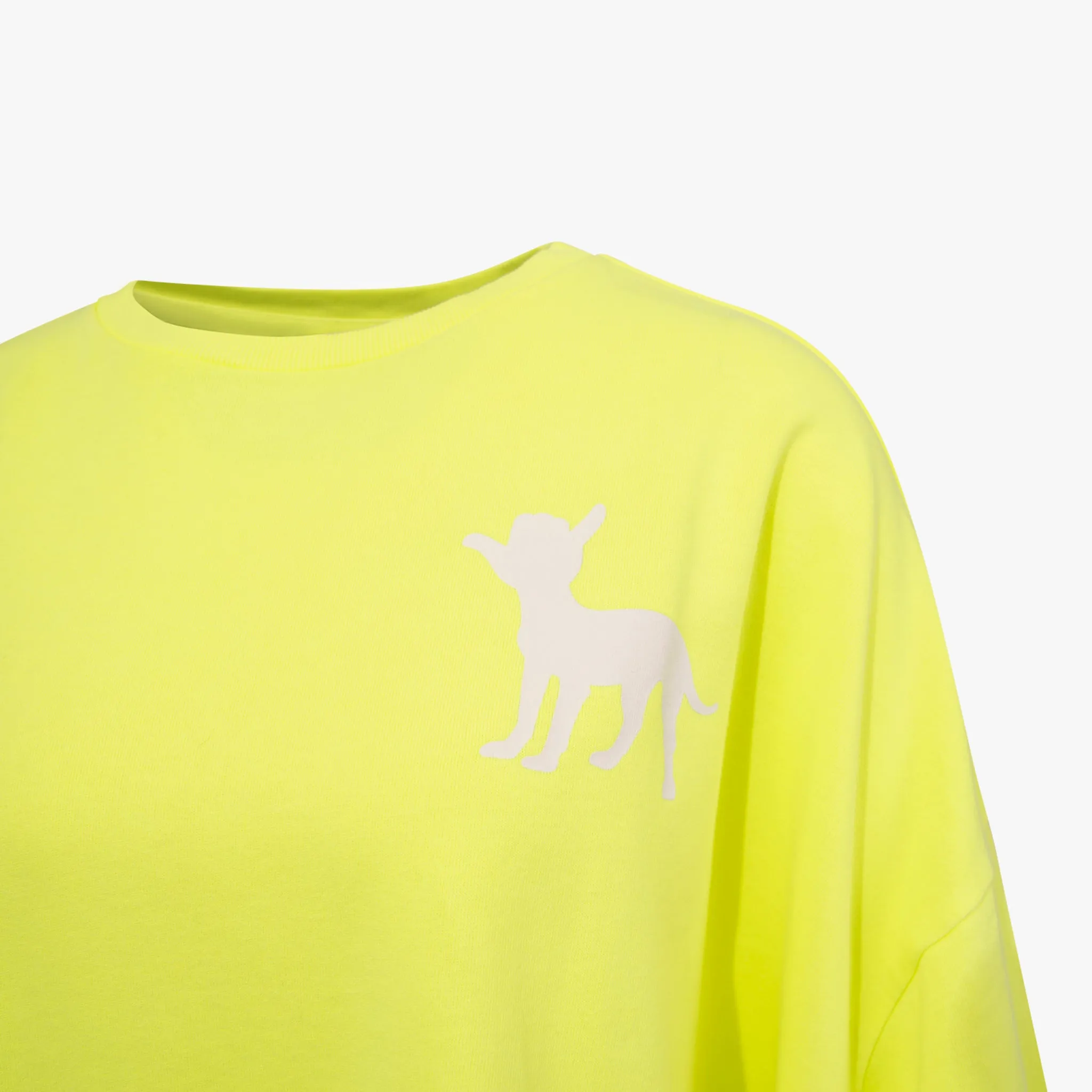 Sweater Neon