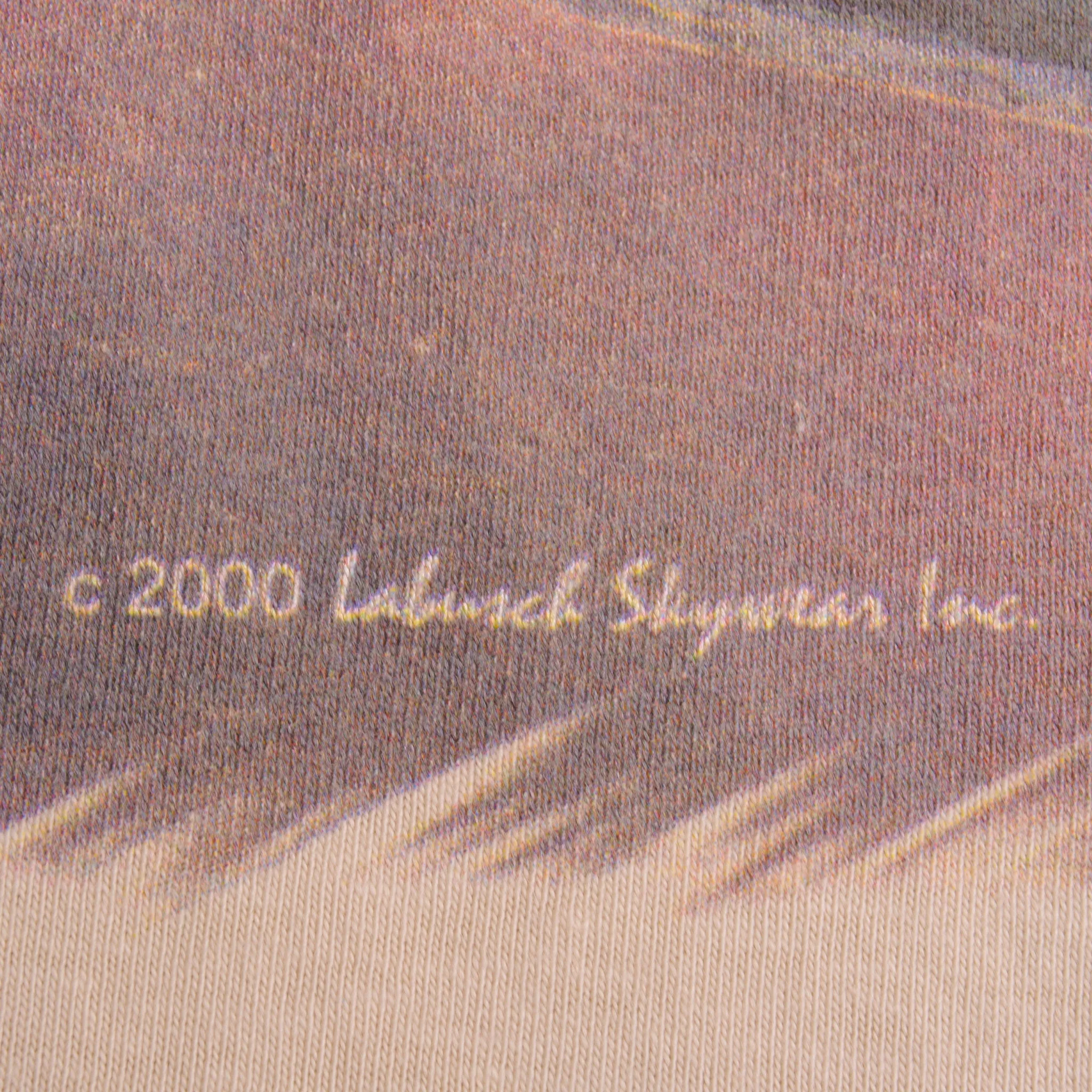 VINTAGE P-40 P40 WARHAWK 2000 TEE SHIRT SIZE XL